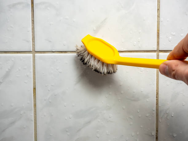 Best Localized Mold Remediation (e.g., coastal areas, humid climates) in Penn Yan, NY